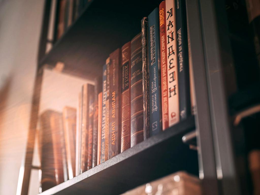 European professional using systematic methodology on a laptop