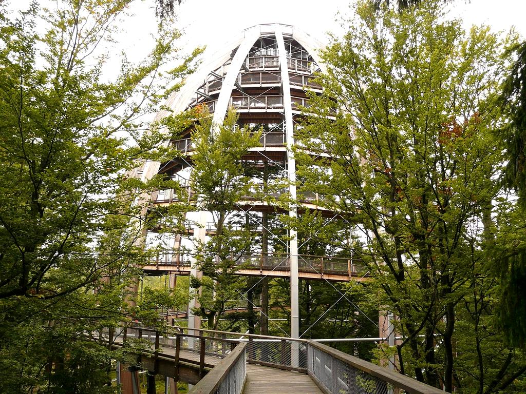 Portrait of Dr. Lara Schmitt, Behavioral Scientist