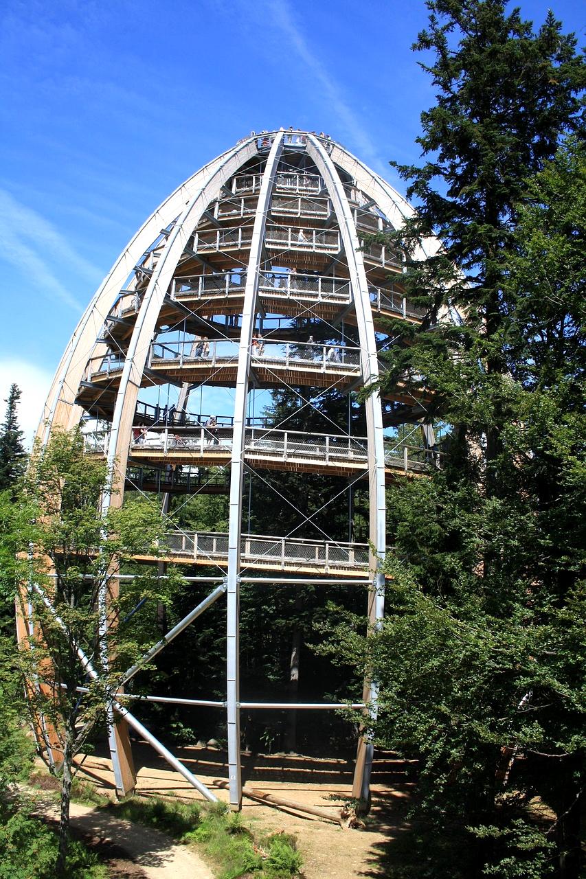 Portrait of Markus Vogel, Systems Thinker and Coach