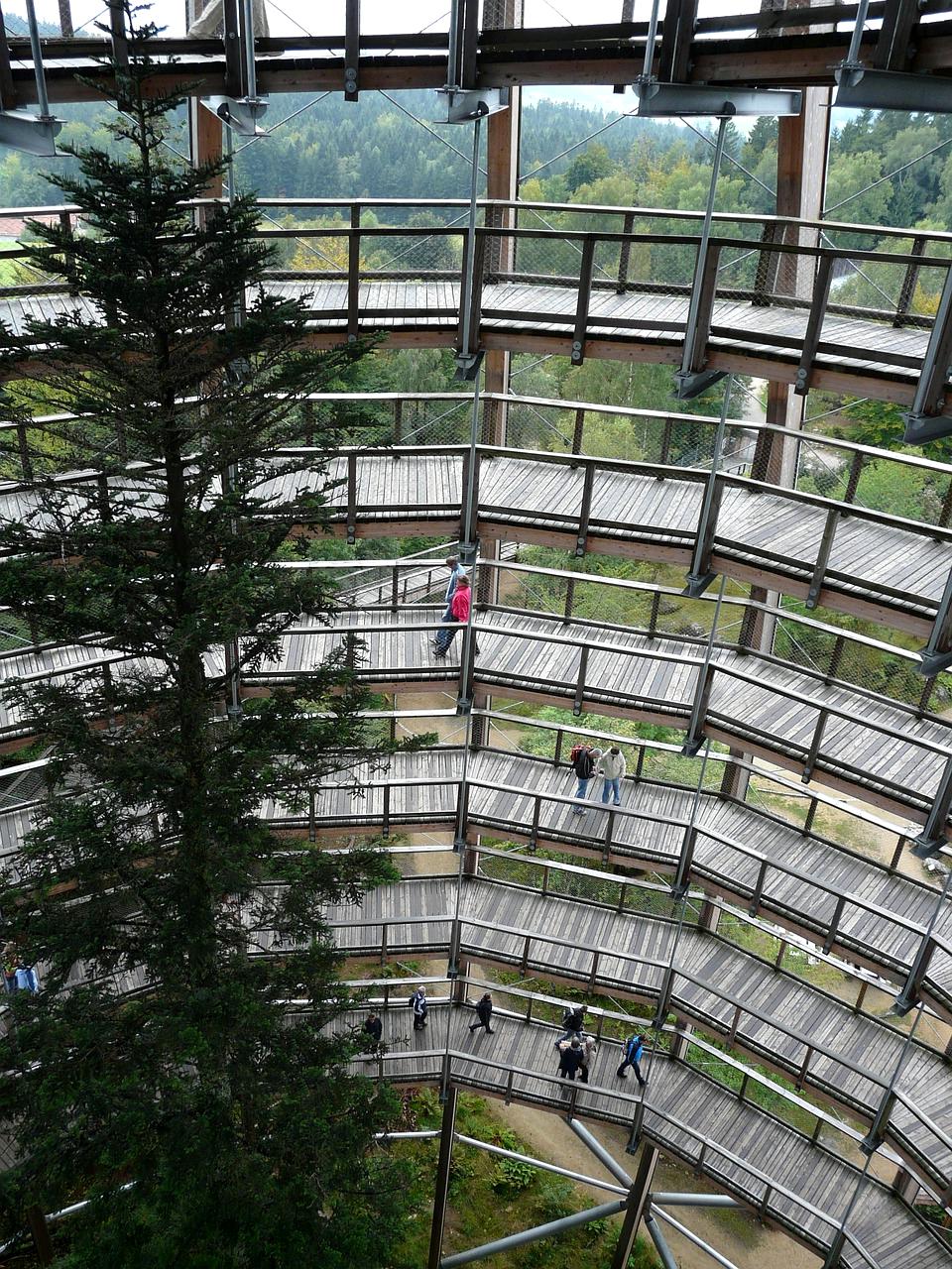 Testimonial of Lucas from Zurich