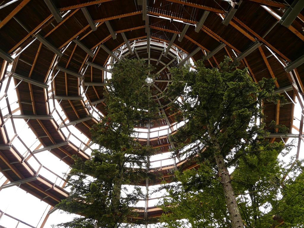 Marcus from Amsterdam discussing his personal stability journey